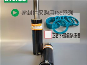 加长版模具氮气弹簧BTL750 CTX750  CTX1000